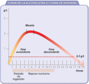 curva de alcoholemia de widmark