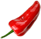 chili chili