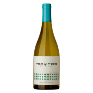 MAYCAS-CH-2021