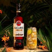 bacardi